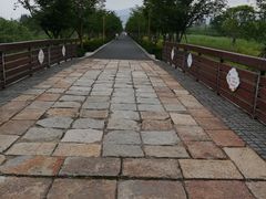 -长田漾湿地公园