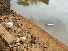 -神光山国家森林公园