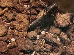 -上海昆虫博物馆