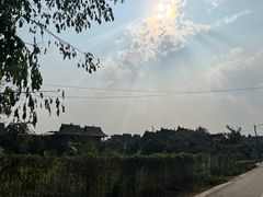 -西双版纳傣族园