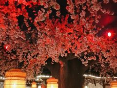 -荷塘秋月·本帮江浙菜(国权路店)