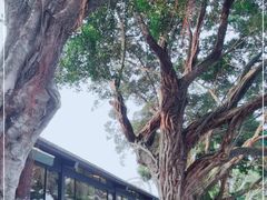 -仑头海鲜城(仑头环村南路店)