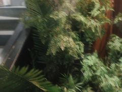 -江小渔鲜鱼火锅(西二道街店)