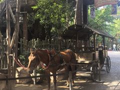 -长鹿旅游休博园