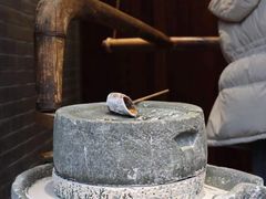 -矮人松糕(小南店)