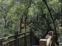 -东湖磨山景区