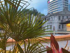 -Efes Turkish & Mediterranean Cuisine 艾菲斯餐厅(陆家嘴店)