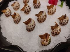 -玥轩YUE HIN(IFS国际金融中心店)