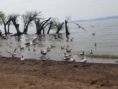 -捞渔河湿地公园