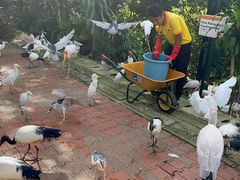 -吉隆坡雀鸟公园