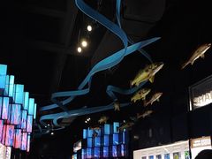 -同济大学四平路校区深海探索馆