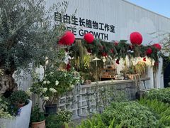 -自由生长植物工作室(深港花卉中心店)