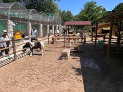 -北京市海淀外国语实验学校