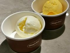 哈根达斯芒果冰淇淋-極上萬膳·日料放题(海岸城店)