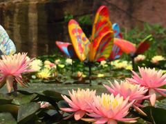 -广州莲花山旅游区