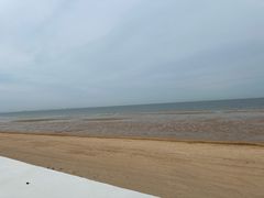 -日照海滨国家森林公园