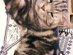 -平行世界·猫咖(首经贸店)