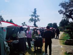 -鹅湖玫瑰文化园