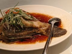 -上海会馆(香港名都店)