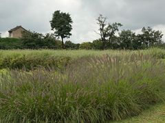 -汉长安城未央宫国家考古遗址公园