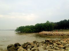 -宝安西湾红树林湿地公园