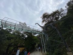 -南丹山森林王国