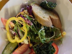 田园沙拉配香草醋汁-巴伐利亚啤酒坊(意式风情街店)