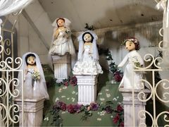 -济州岛泰迪熊博物馆