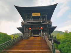 -大唐贡茶院