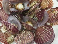 -抹直口特色菜馆(一店)