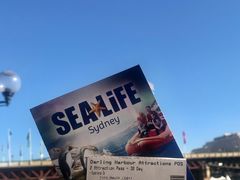 -悉尼海洋生物水族馆