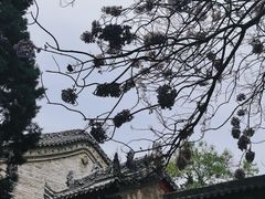 -西安市广仁寺