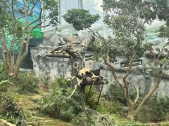 -石排湾郊野公园