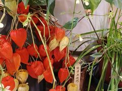 -花二家·生活馆(六运小区店)