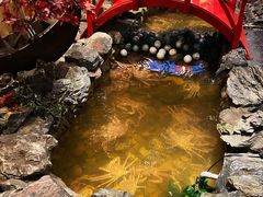 -綱元·海鲜豆捞(明州里店)