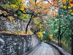 -香山公园