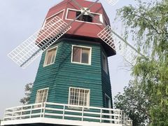 -洛阳郁金香牡丹园