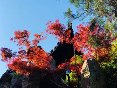 -个园
