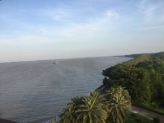 -大湾区中央湿地公园