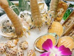 -金龙·打边炉(南京西路店)