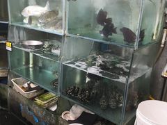 -岳各庄批发市场(西四环中路店)