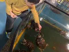 -上海大自然野生昆虫馆(东方明珠·爬宠昆虫探索中心)