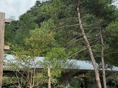 -遂昌金矿国家矿山公园