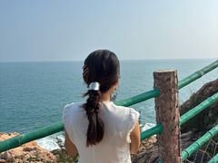 -广东惠东海龟国家级自然保护区