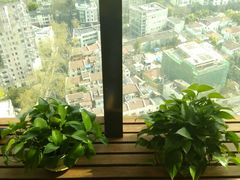 -MusicLife音乐(浦东校区)