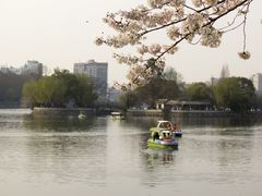 -甘棠公园