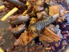 -石灰市毛记烧鸡公(解放碑店)