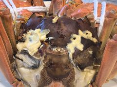 -品鲜村农家菜·阳澄湖大闸蟹(总店)