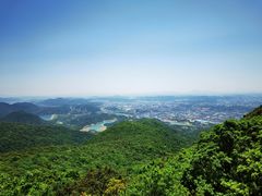 -清溪森林公园