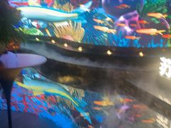 -唐宫足道·SPA·住宿24H会所(木渎店)